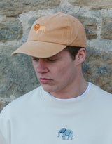 Lion Embroidered Vintage Cap