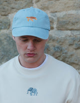 Sea Turtle Embroidered Vintage Cap