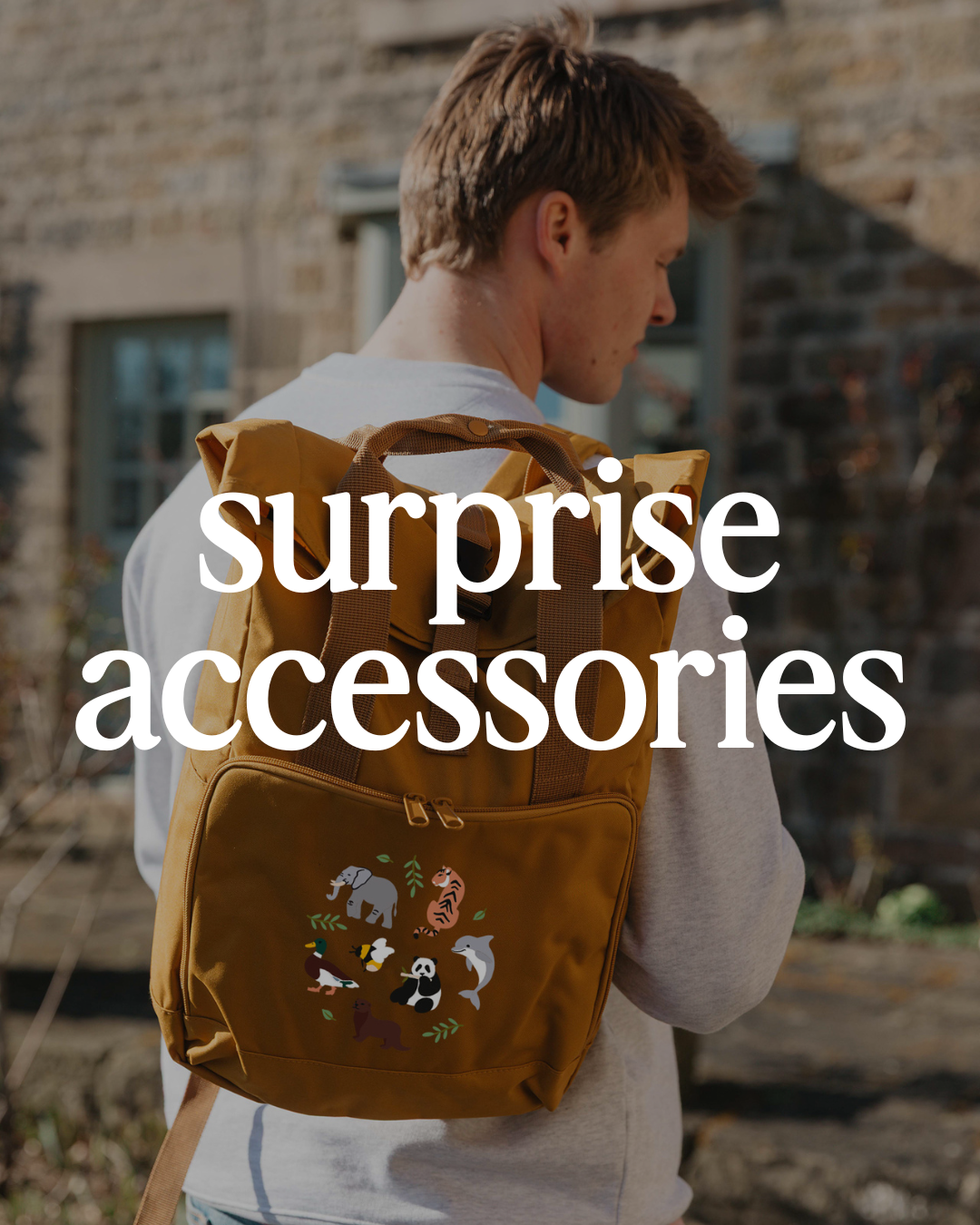 Surprise Accessories