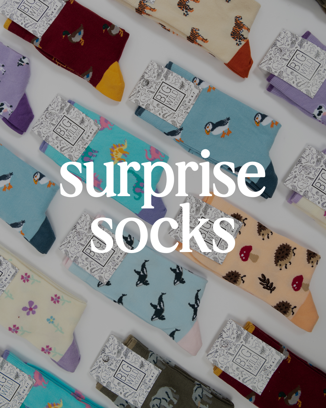Surprise Organic Socks