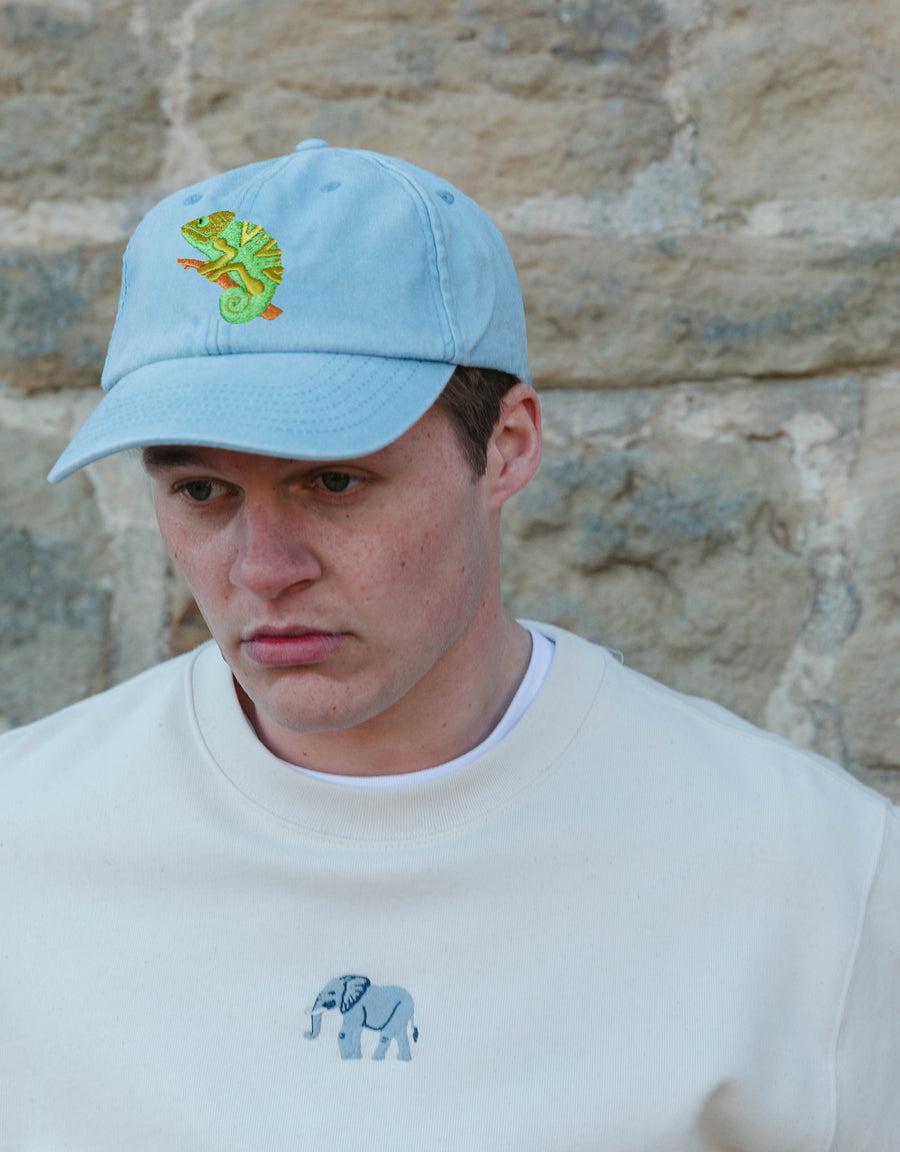 Chameleon Embroidered Vintage Cap