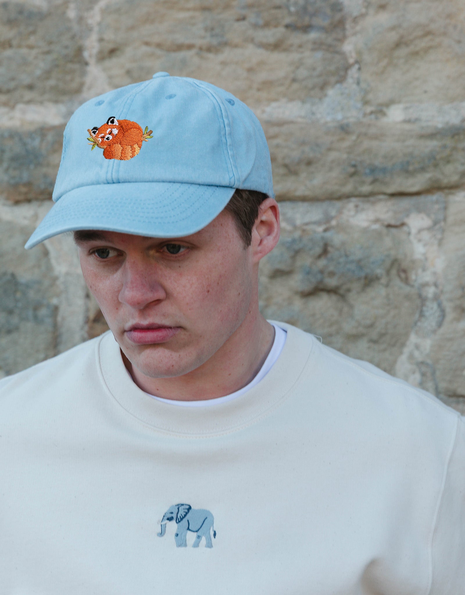 Red Panda Embroidered Vintage Cap
