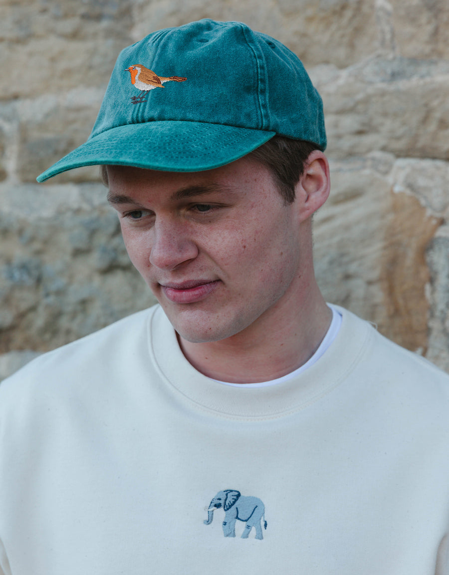 Robin Embroidered Vintage Cap