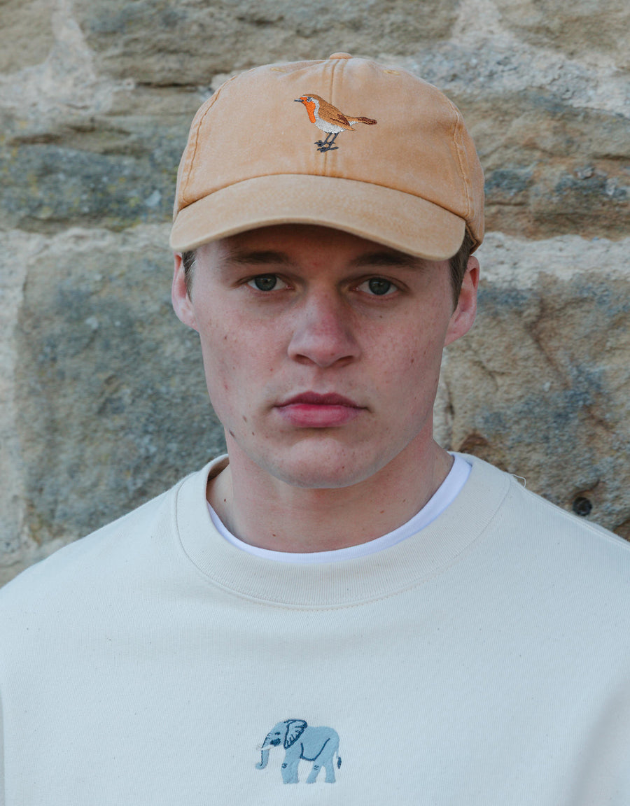 Robin Embroidered Vintage Cap