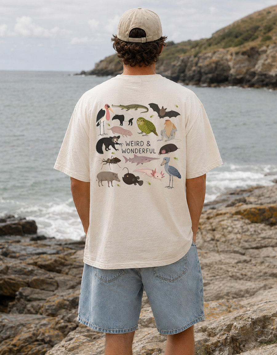 Weird & Wonderful Printed Unisex Oversized Tee