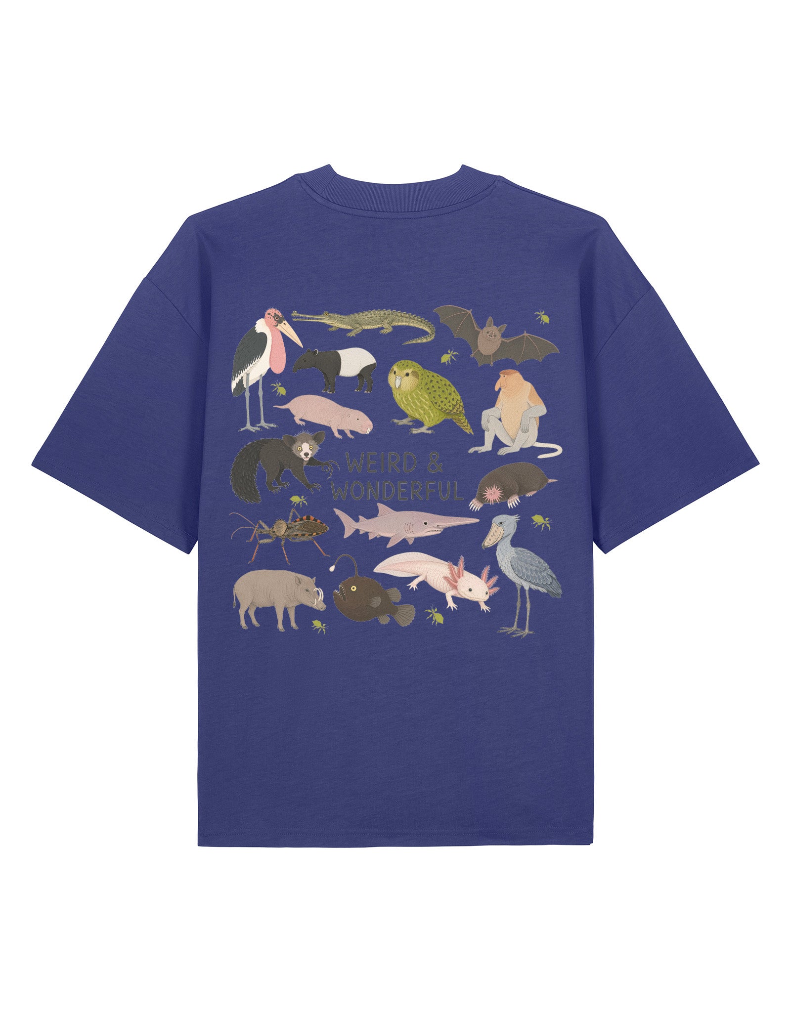 Weird & Wonderful Printed Unisex Oversized Tee