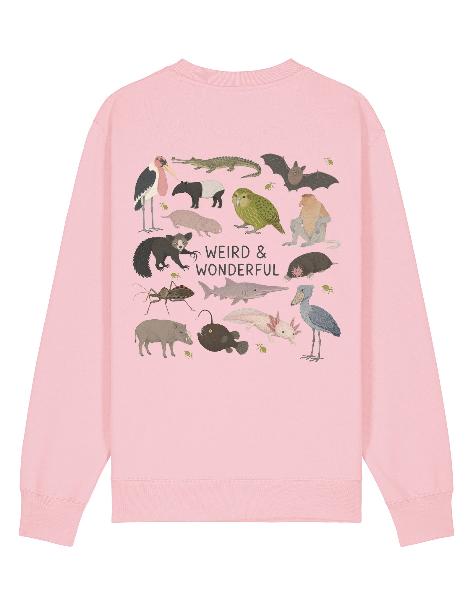 Weird & Wonderful Printed Unisex Sweatshirt